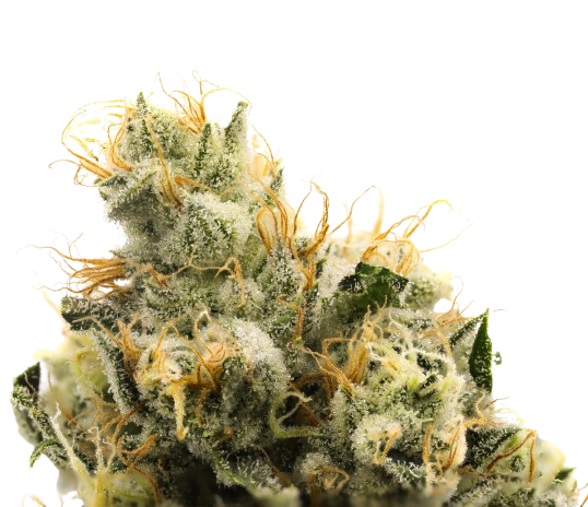 710 Chem cannabis flower