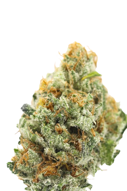 Biesel cannabis flower