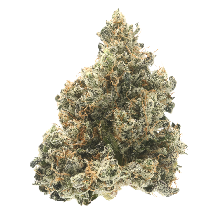 Garlic Cocktail #7, Machiavelli Kush, Donny Burger