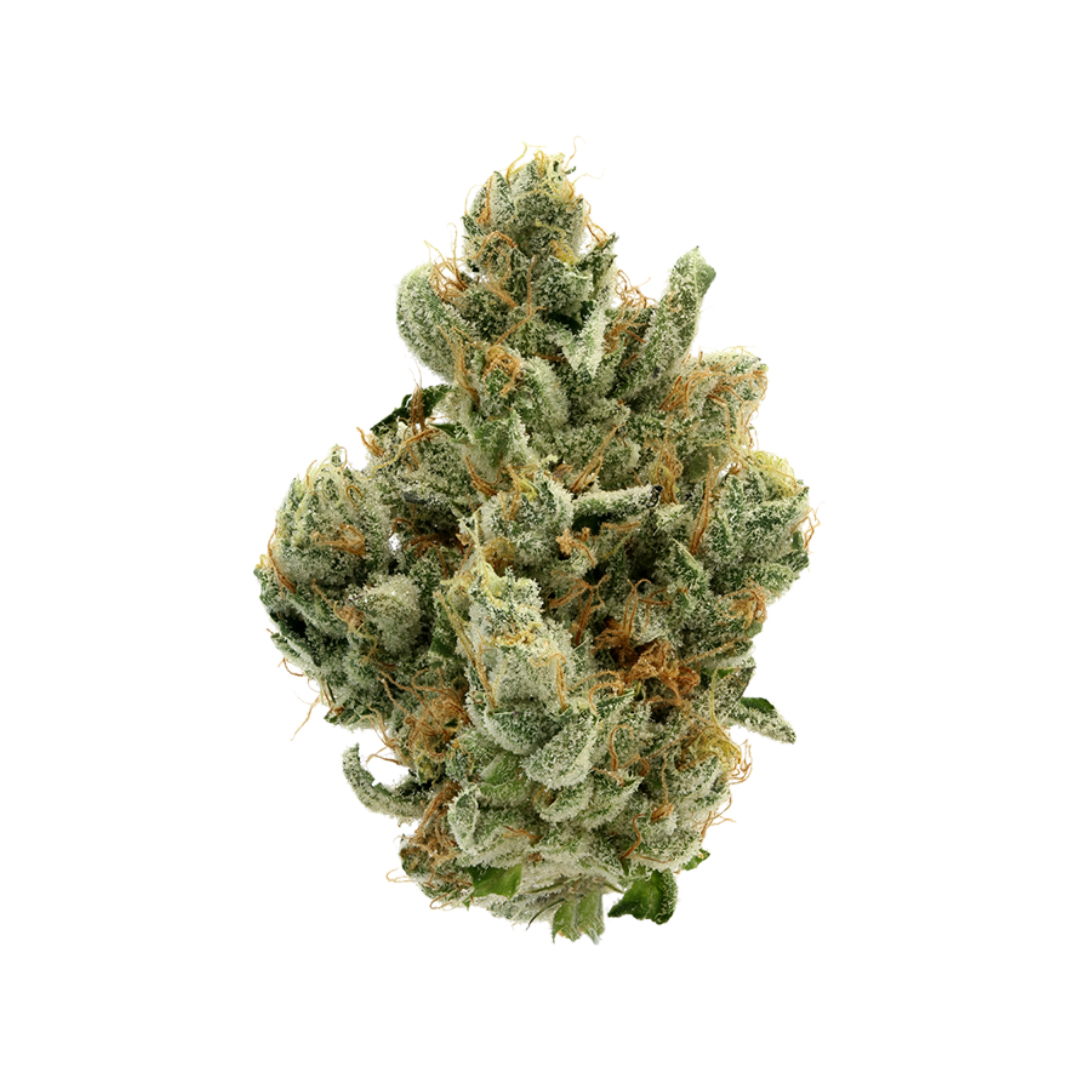 GMO cannabis flower