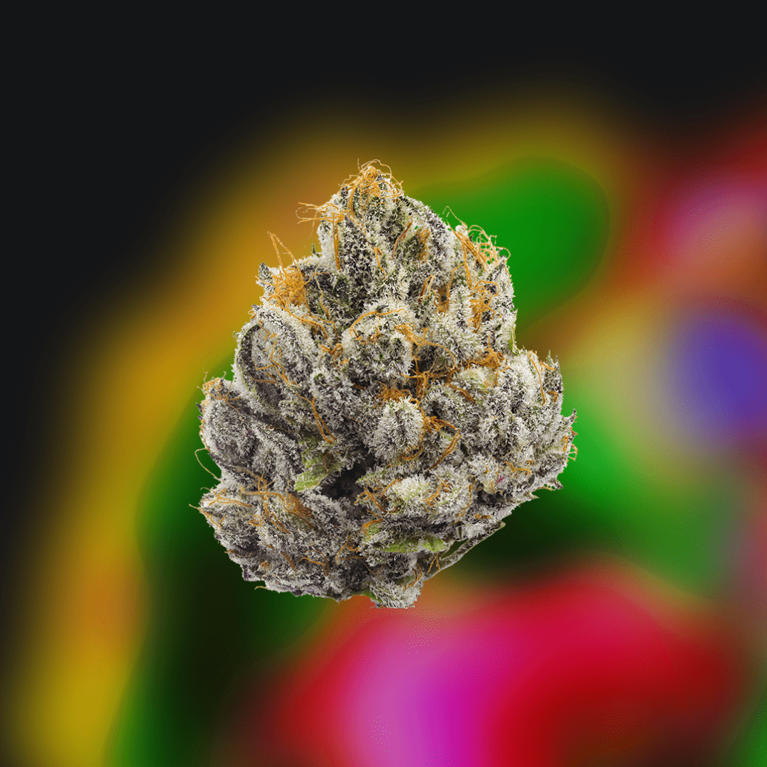 Gak Smoovie cannabis flower