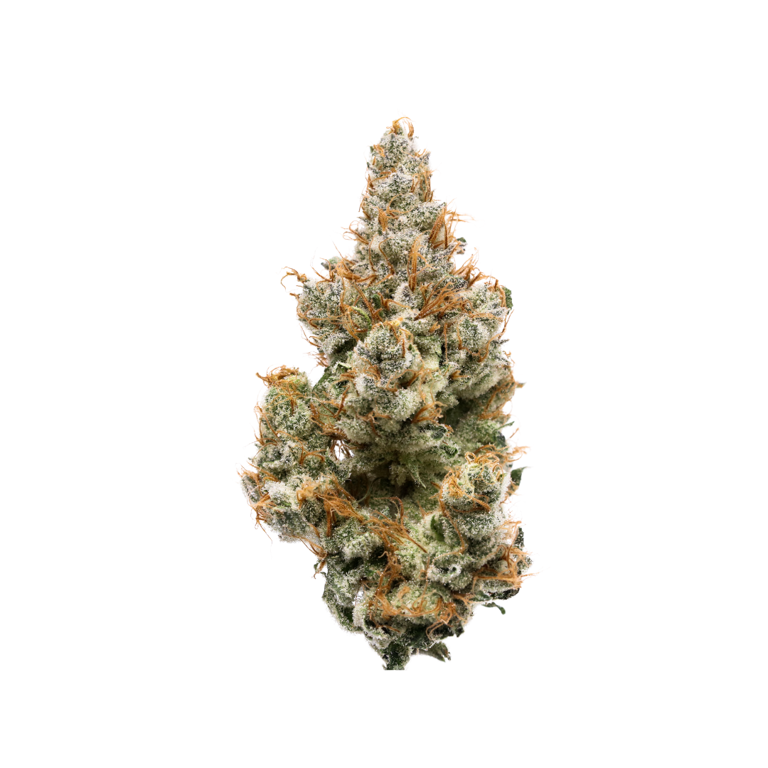 Grease Bucket cannabis flower