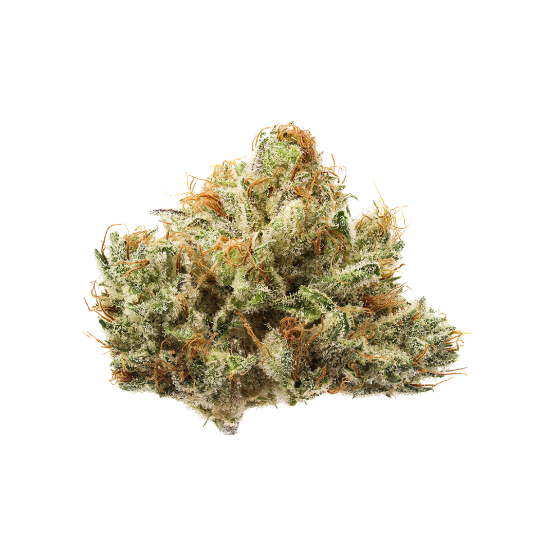 Kimbo Kush cannabis flower