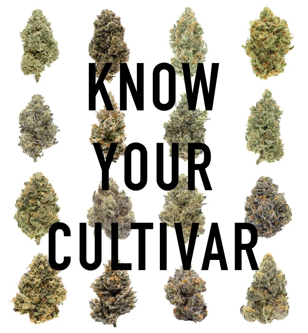 Know your cultivar