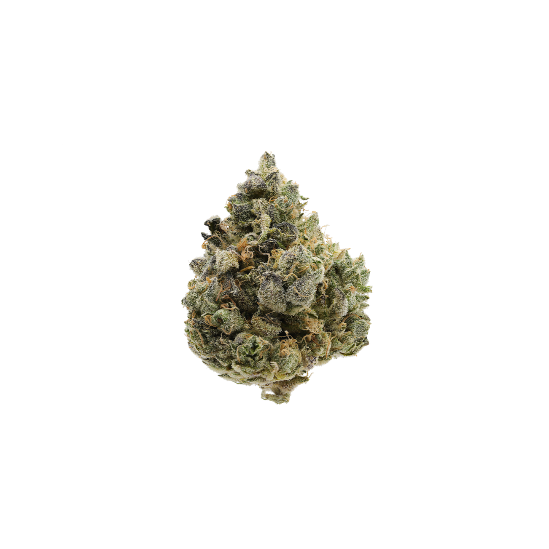 Lemon Tart Pucker cannabis flower