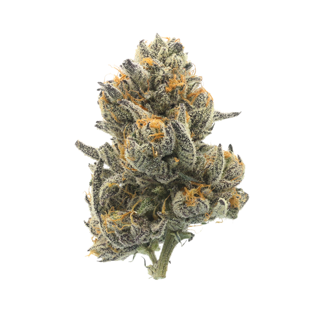 Piescream cannabis flower