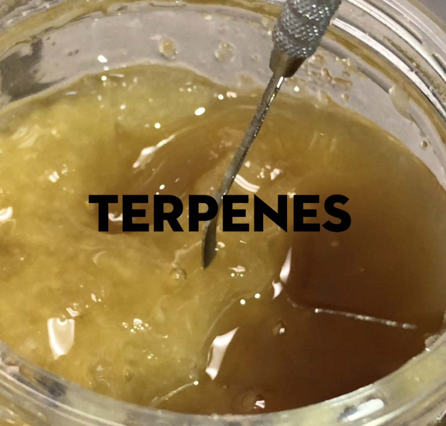 Terpenes archive image 1