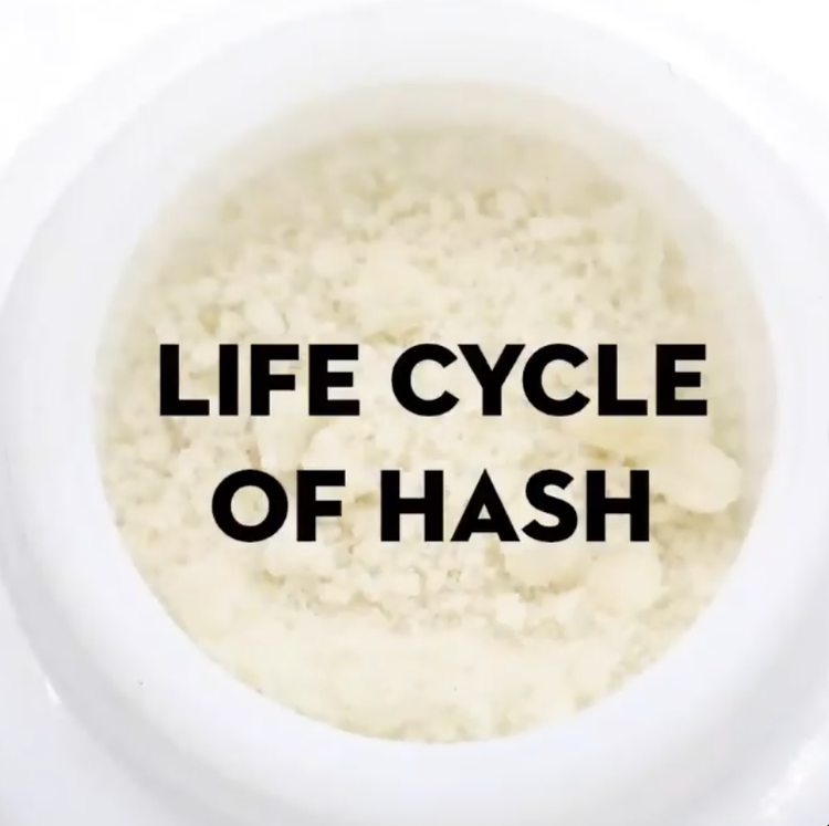 Life Cycle of Hash
