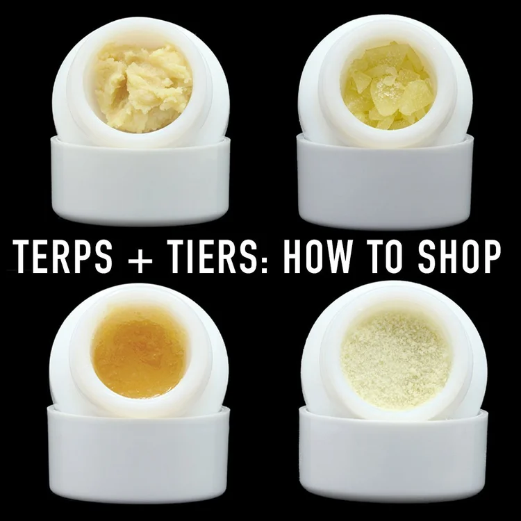TERPS + TIERS: How to Shop