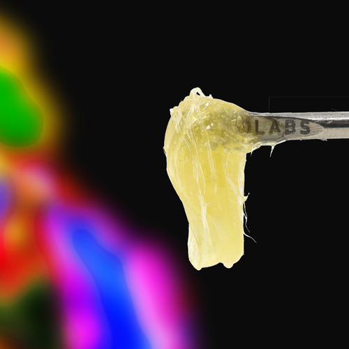 Persy Rosin
