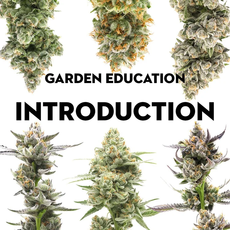 Garden Education: Introduction