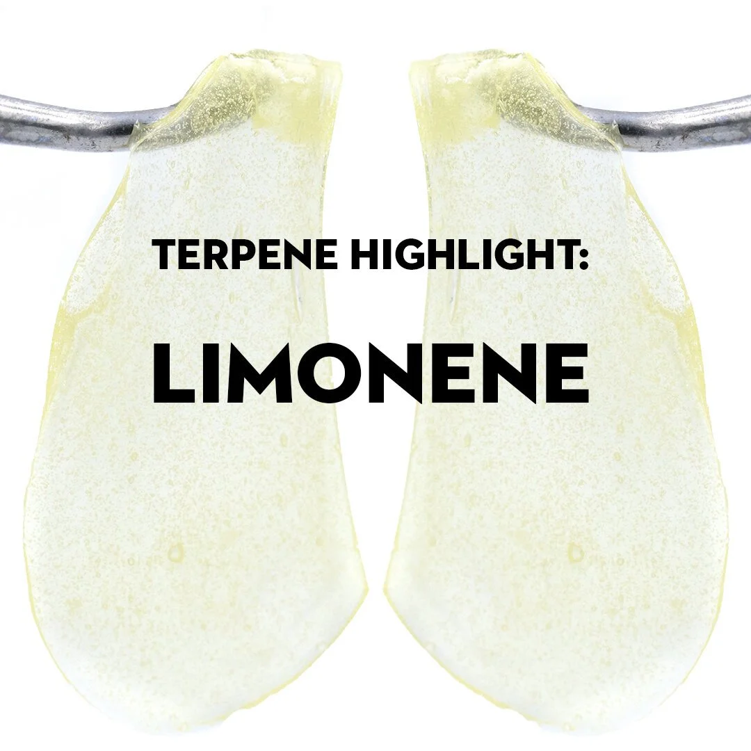 Terpene Highlight: Limonene archive image 1