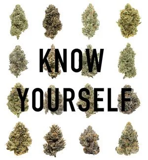 Know Your Strain archive image 2
