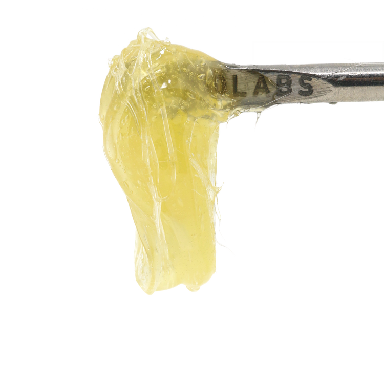 Persy Rosin