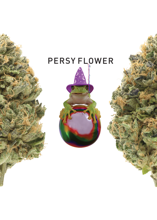 Persy flower archive image 1