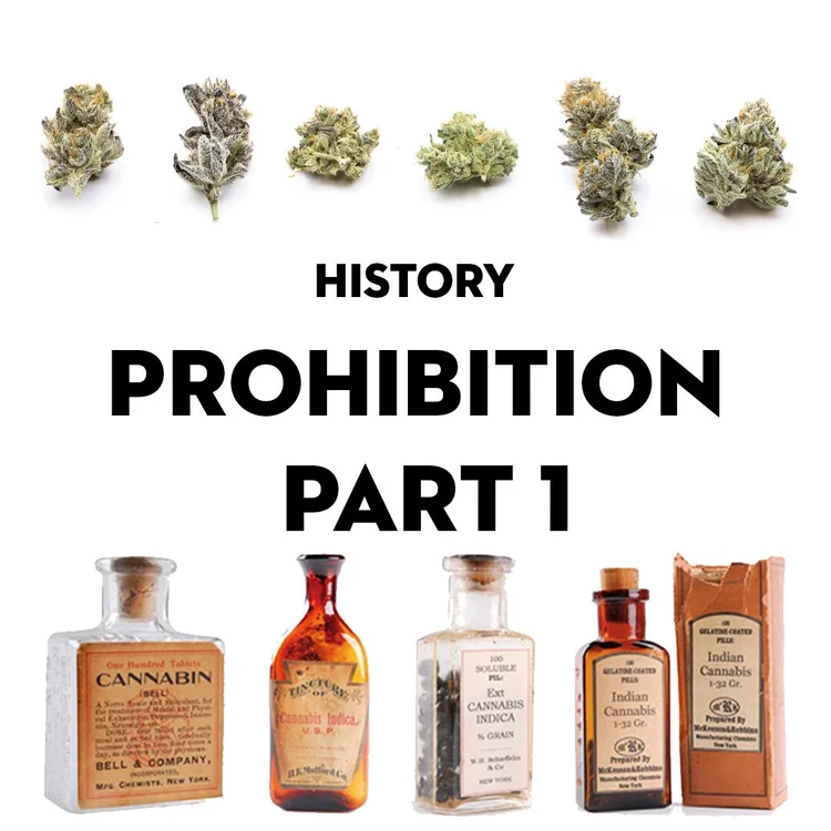 History: Prohibition Part 1