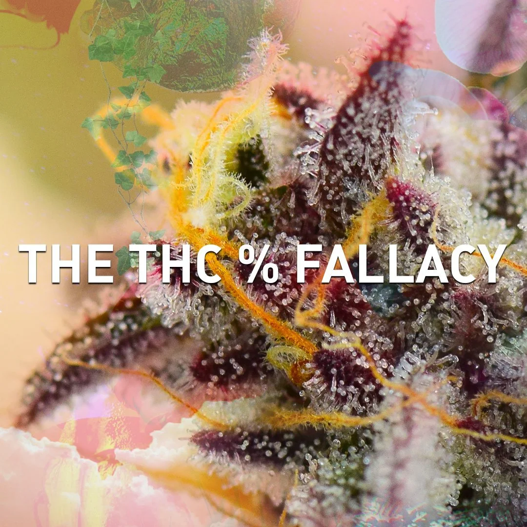 THC percentage fallacy